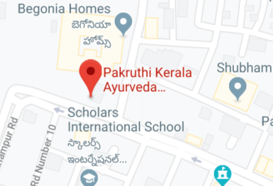 Pakruthi Ayurveda store location map