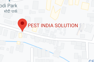 Pest India Solution store location map