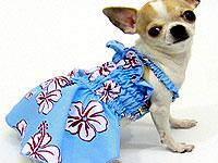 Heads Up For Tails offers