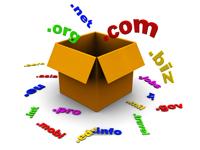 Hosting Raja offers