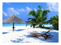 Euro Asia Tour offers