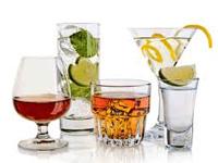 Delhi Darbar Gastronomy offers