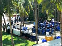 Green Coconut Resort offers