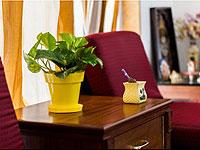 Rolling Nature offers