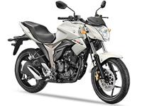 NineStar Suzuki offers