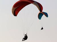 Temple Pilots offers