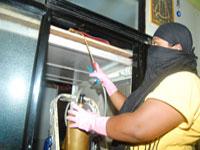 Professional Pest Control offers