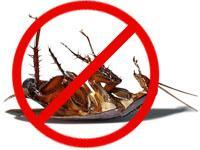 Effective Pest Control Services offers