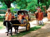 Best Western Resort Country Club offers