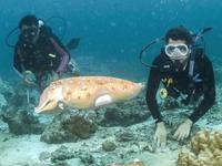 Absolute Scuba offers