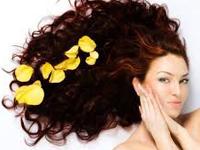 Studio11 Salon and Spa offers