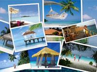 Thomas Cook 0 sales India