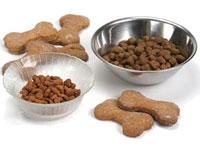 IndiPetShop 0 sales India