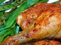 Freshly Wrapped 0 sales India