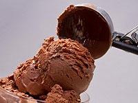 Feesta 0 sales India