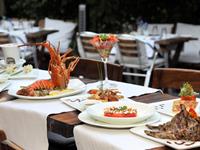 Magique 0 sales India