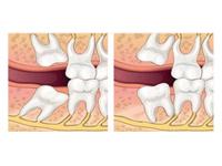 Jayas Dental 0 sales India