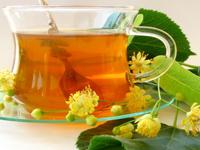 Shifa Naturophathic Holistic Healing 0 sales India