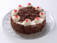 MyFlowerTree 0 sales India