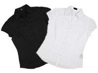 Thestiffcollar 0 sales India