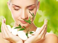 HSSK Kerala Ayurveda Treatment Centre & Institute 0 sales India