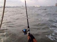 Oyster Sailing 0 sales India