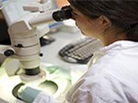 Red Cell Diagnostic Centre 0 sales India