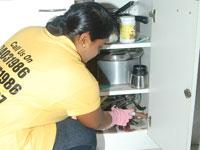 Professional Pest Control 0 sales India