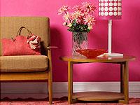 The Yellow Door 0 sales India