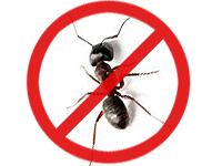 Balaji Pest Control 0 sales India