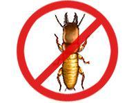 Effective Pest Control Services 0 sales India