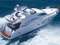 Blue Whale Water Sports 0 sales India