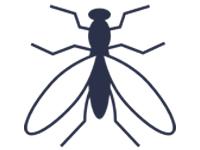 Timesaverz 0 sales India