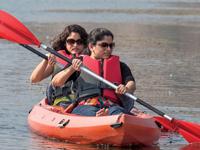 Bluebay Sports 0 sales India