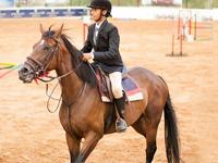 Mrugavani Resort 0 sales India