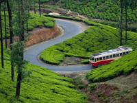 Chai Guest House 0 sales India