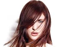 Studio 23 Salon and Spa 0 sales India