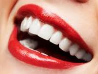 US Dental 0 sales India