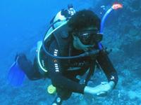 Absolute Scuba 0 sales India