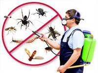 Hicare 0 sales India