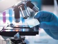 First Health Diagnostics 0 sales India