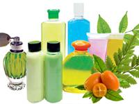 The Organic Garden 0 sales India