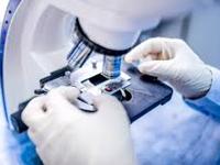 Suburban Diagnostics 0 sales India