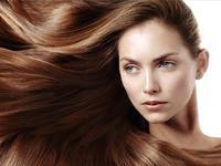 Elite Makeup Zone 0 sales India