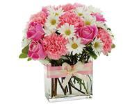 Country Oven 0 sales India