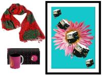 India Circus coupons