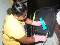 Professional Pest Control coupons