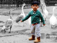 Shaam Ramani Photography coupons