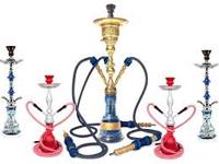 Purple Turtle coupons