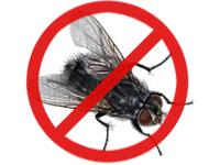 Balaji Pest Control coupons